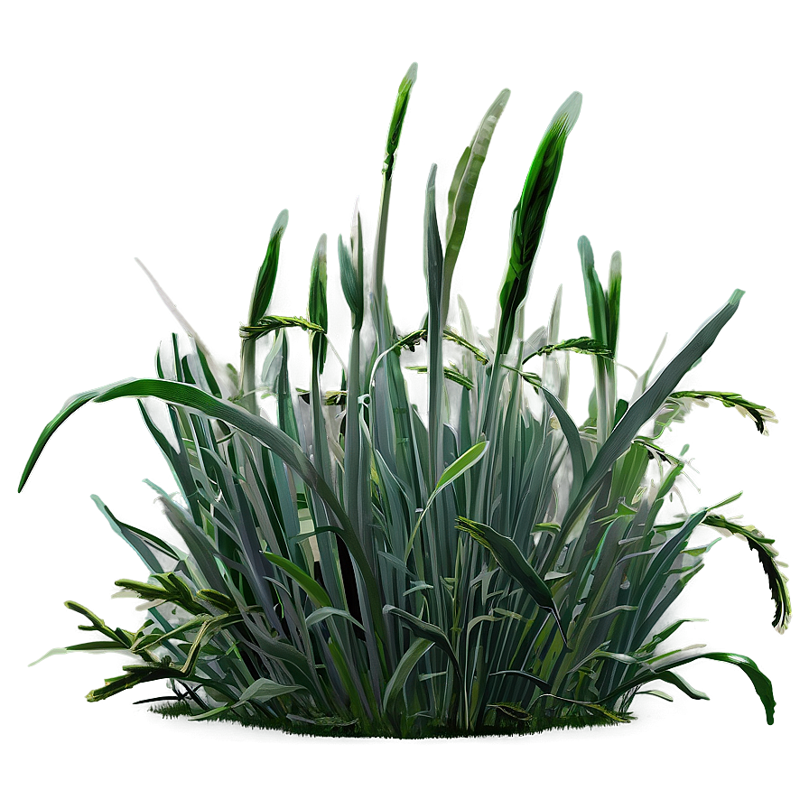 Frostbitten Grass Png 98 PNG Image