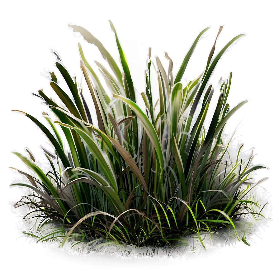 Frostbitten Grass Png Jty70 PNG Image