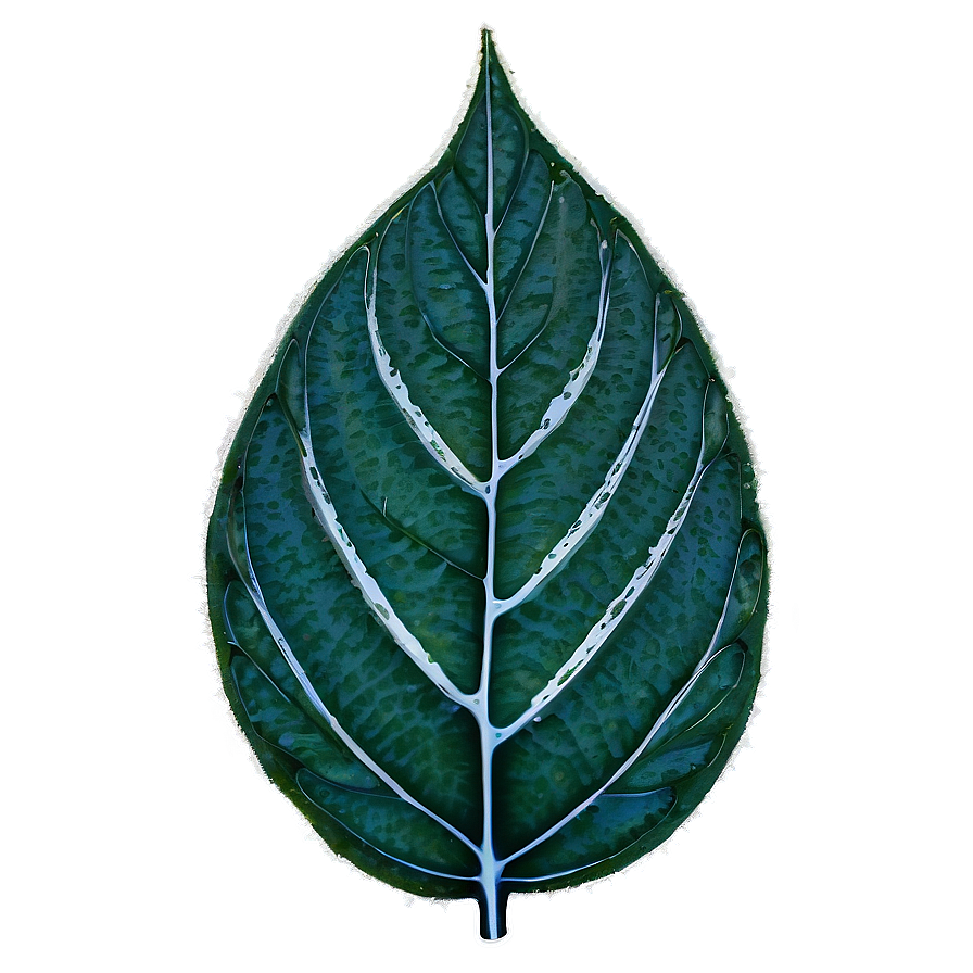 Frosted Leaf Png 97 PNG Image