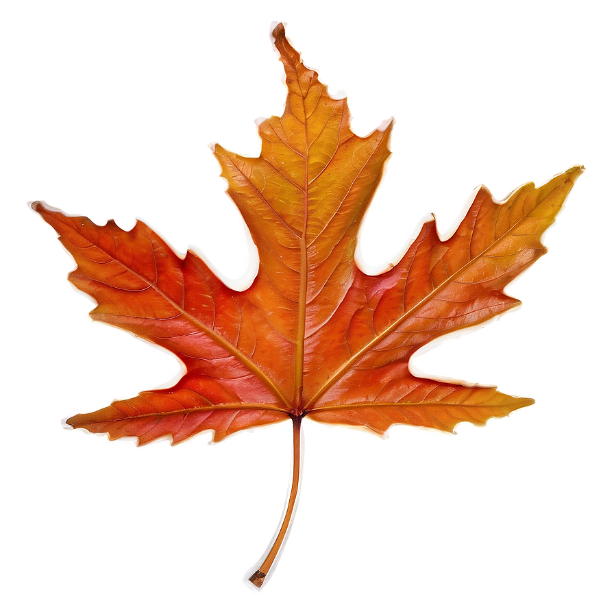 Frosted Leaf Png Sis PNG Image