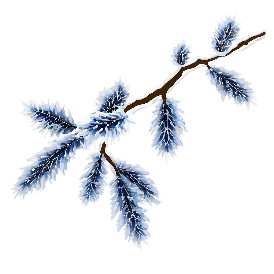 Frosted Tree Branch Png 05252024 PNG Image