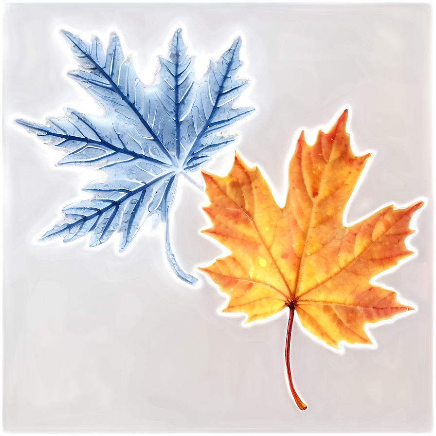 Frosty Autumn Leaves Png Sej35 PNG Image