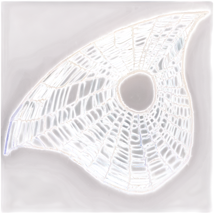 Frosty Spider Web Artwork PNG Image