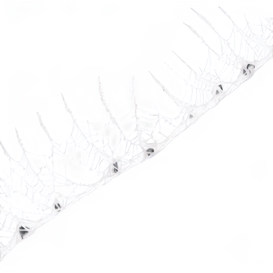 Frosty Spider Webon Branch PNG Image