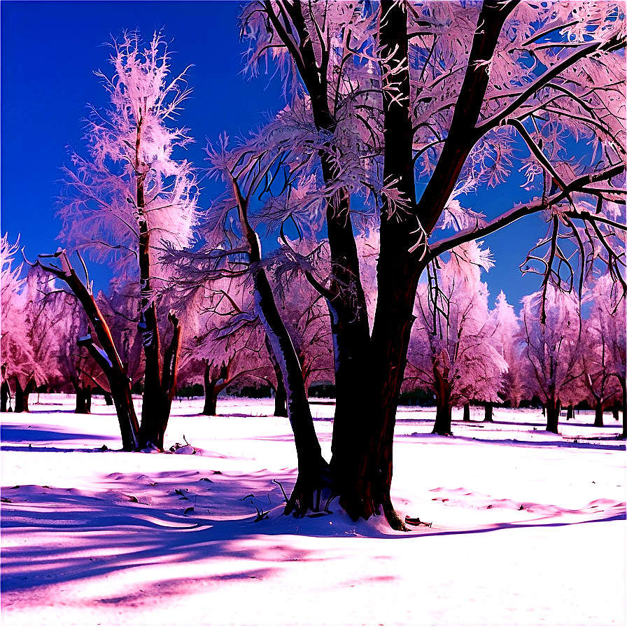 Frosty Winter Trees Landscape Png Hdq PNG Image