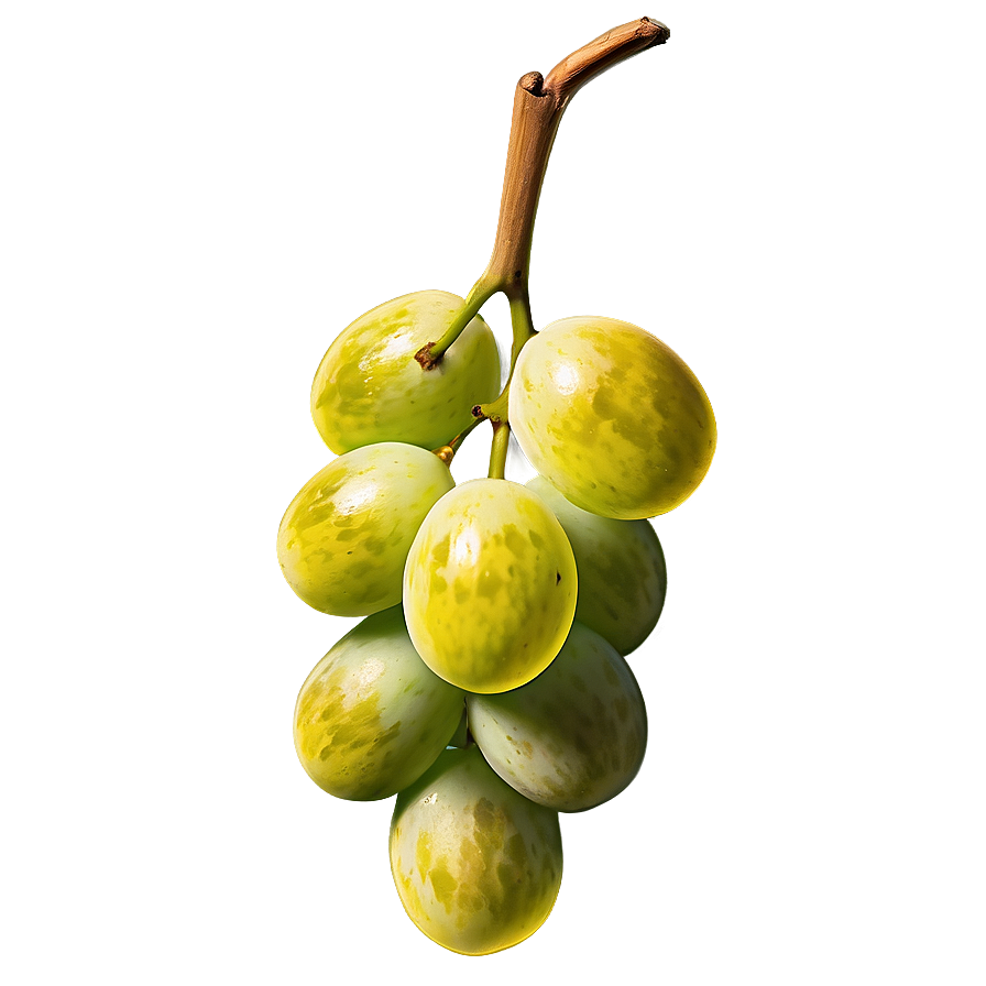 Frozen Grape Png Srq PNG Image