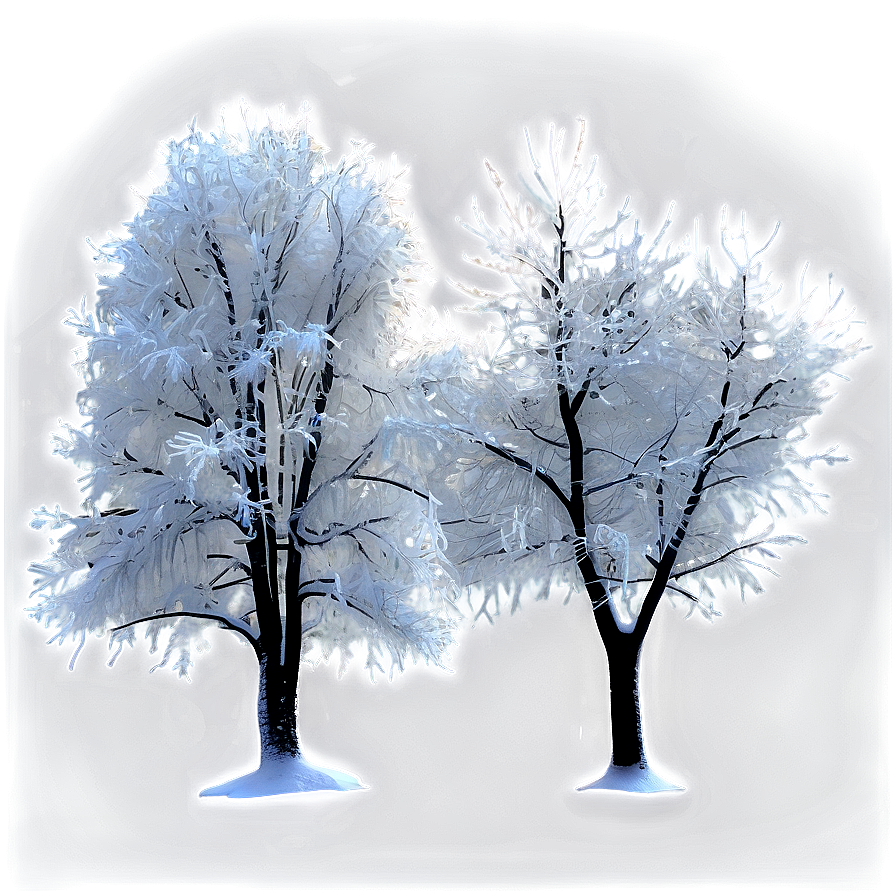 Frozen Winter Trees At Night Png Hlr PNG Image