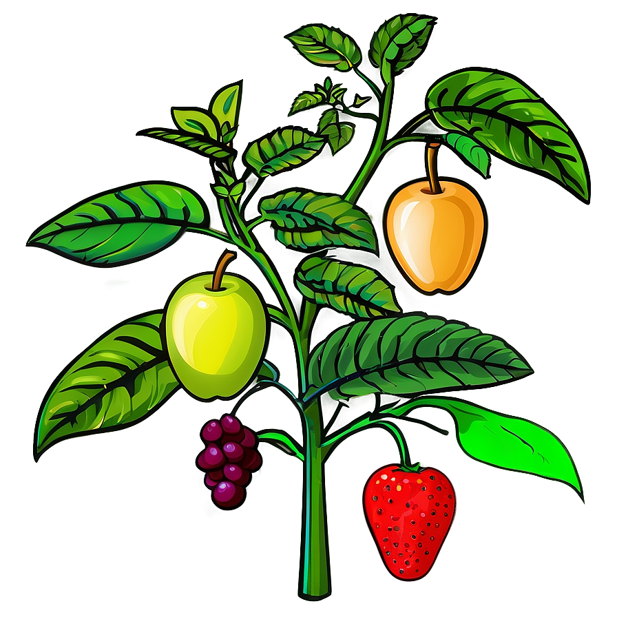 Fruit Bearing Plants Png 23 PNG Image