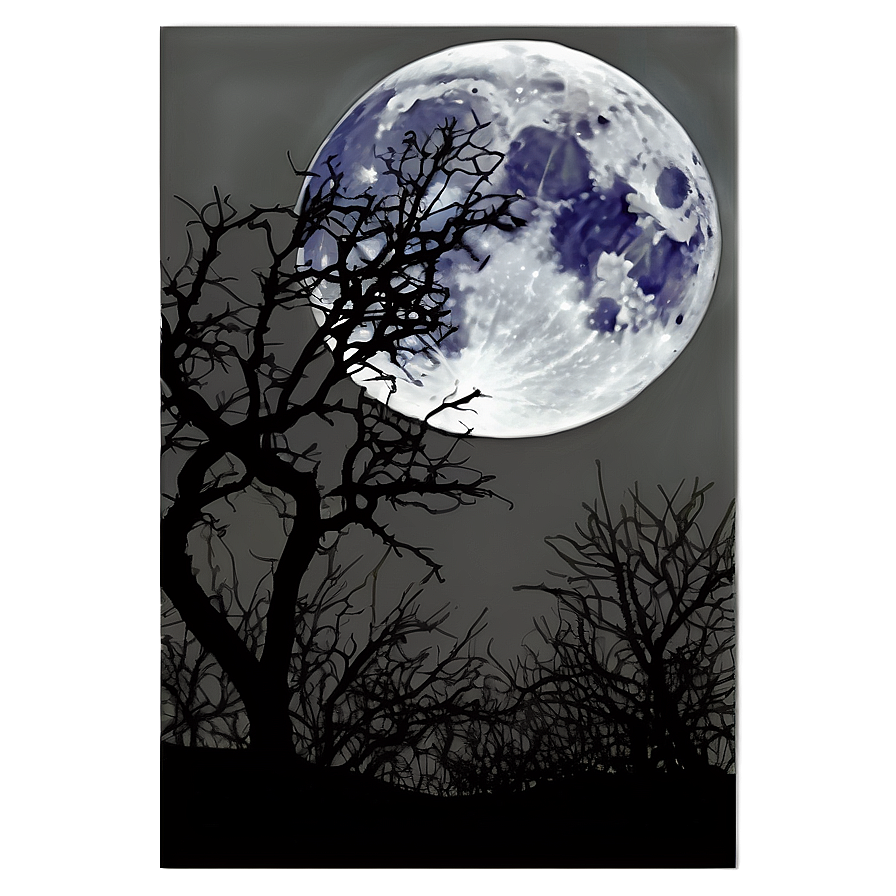 Full Moon Through Branches Png 05242024 PNG Image