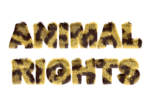 Furry Text Animal Rights PNG Image