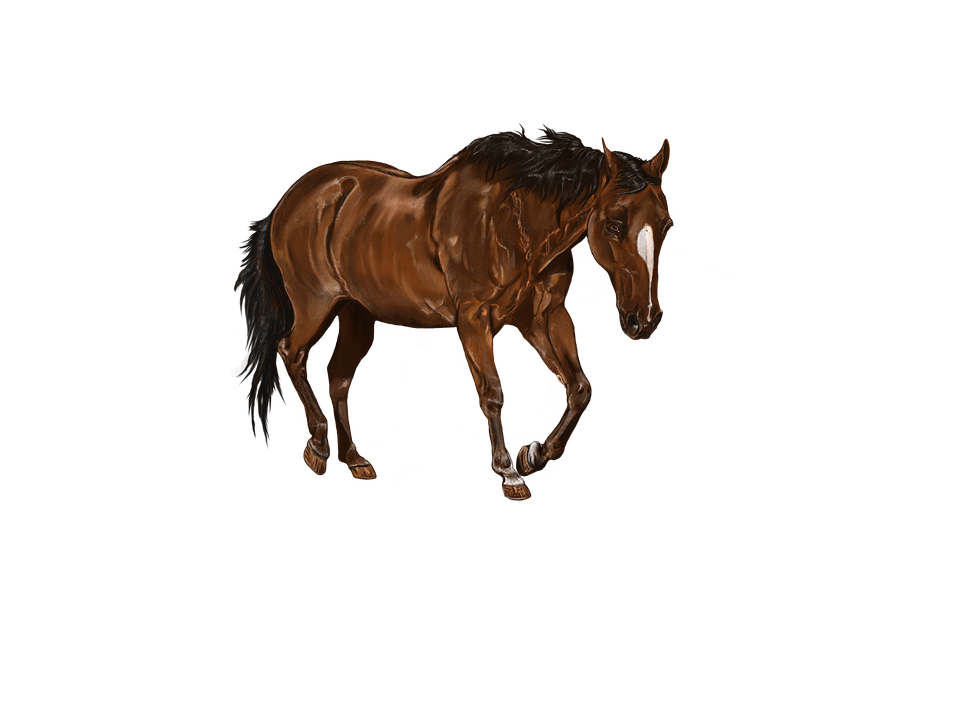 Galloping Brown Horse Illustration PNG Image