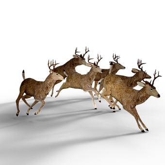 Galloping_ Deer_ Herd_in_ Darkness PNG Image