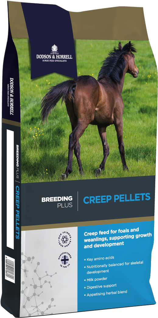 Galloping Foalin Field Horse Feed Package PNG Image