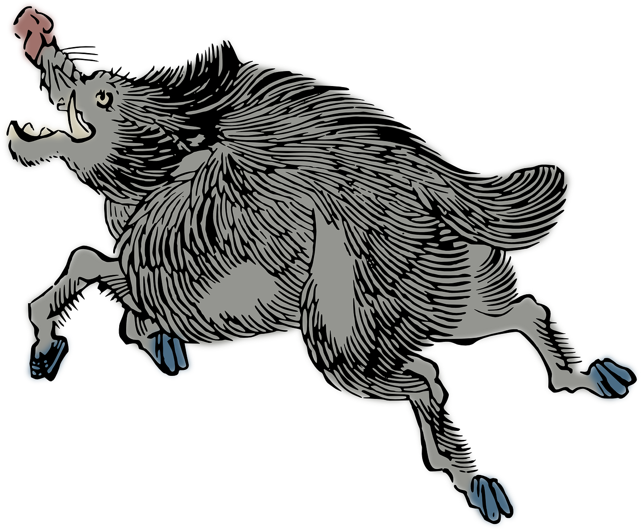 Galloping Wild Boar Illustration PNG Image