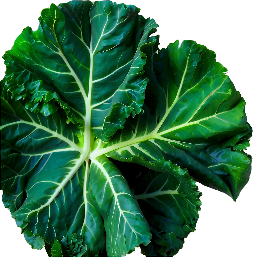 Garden Fresh Collard Greens Png 06252024 PNG Image