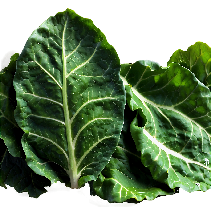 Garden Fresh Collard Greens Png Vth43 PNG Image