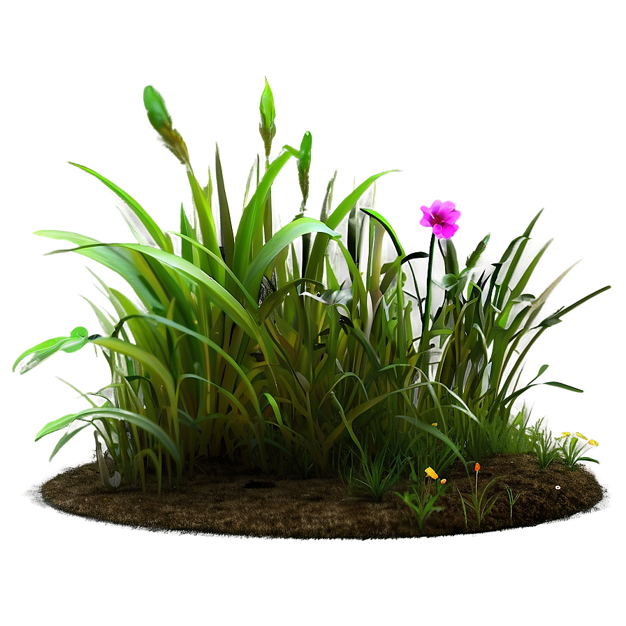 Garden Grass Patch Png Fih64 PNG Image