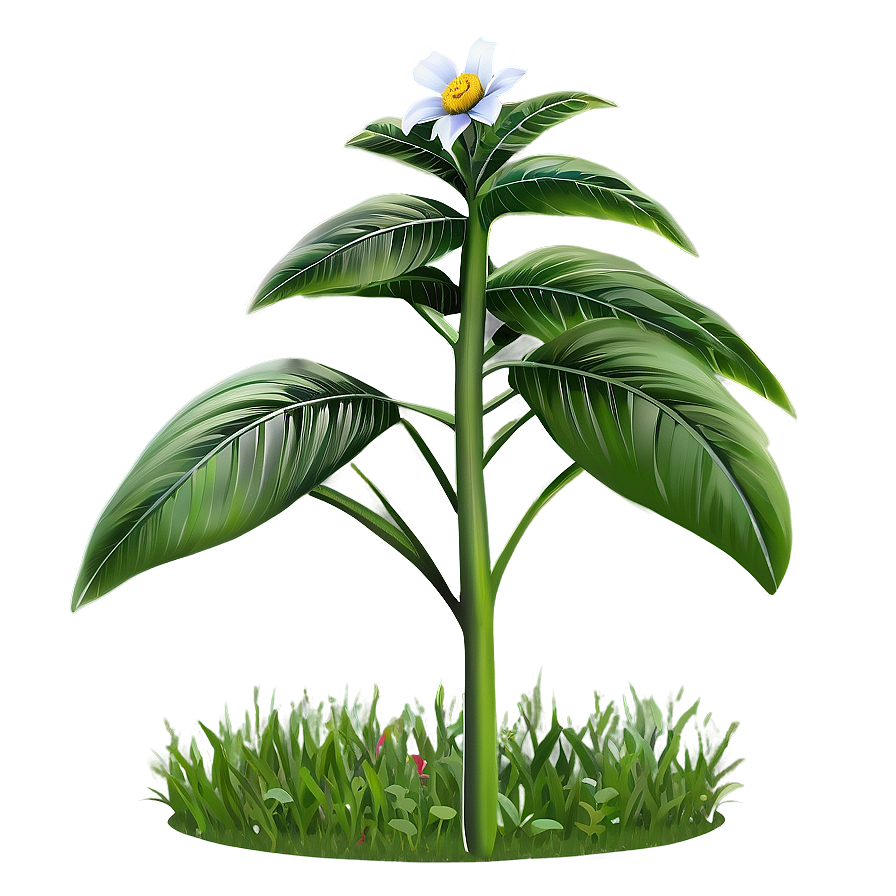 Garden Plant Png 38 PNG Image