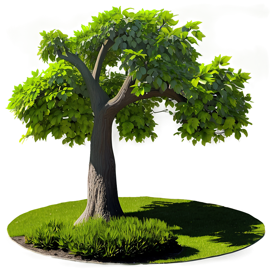 Garden Tree Shadow Png Uwn78 PNG Image