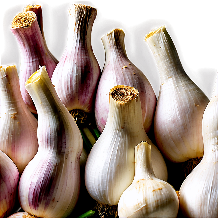 Garlic Farm Png 85 PNG Image