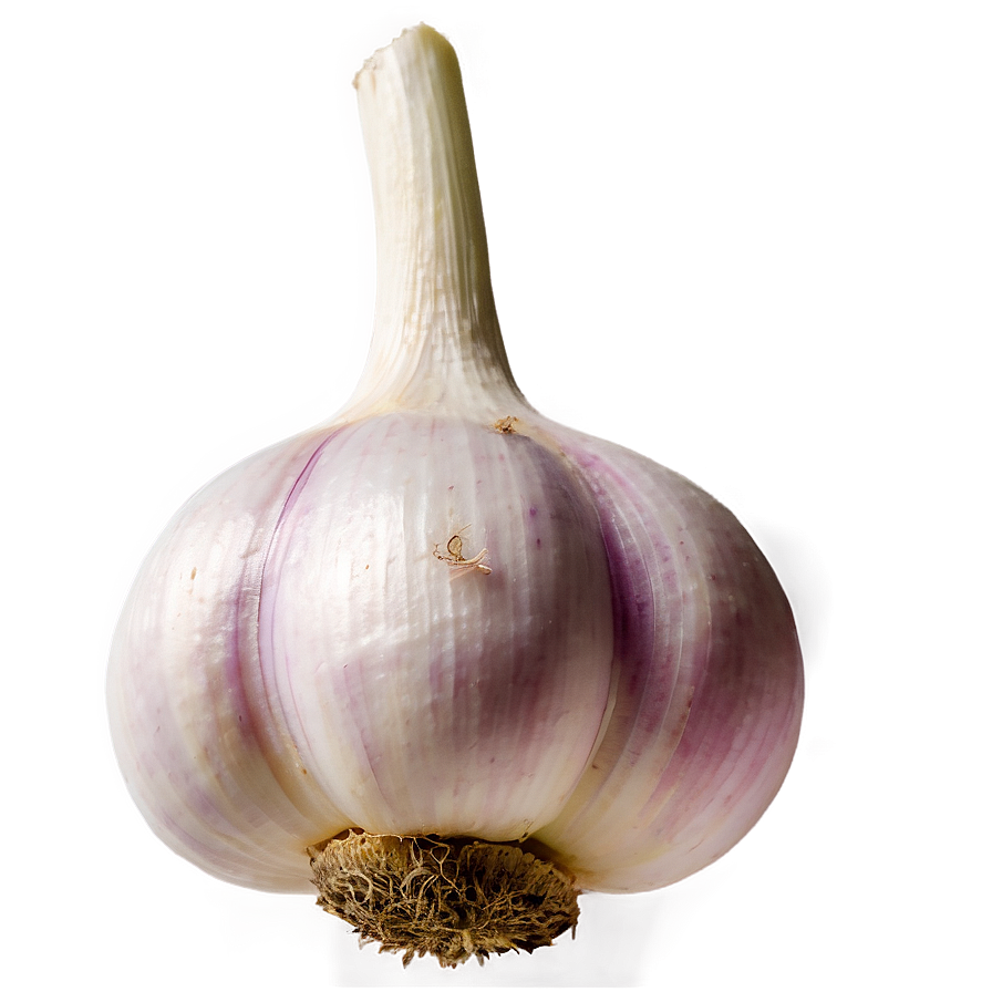 Garlic Farm Png 88 PNG Image