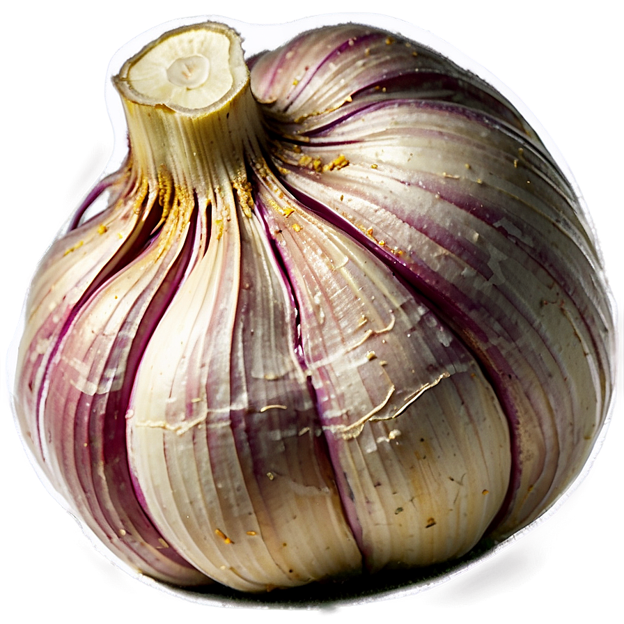 Garlic Powder Png 05242024 PNG Image