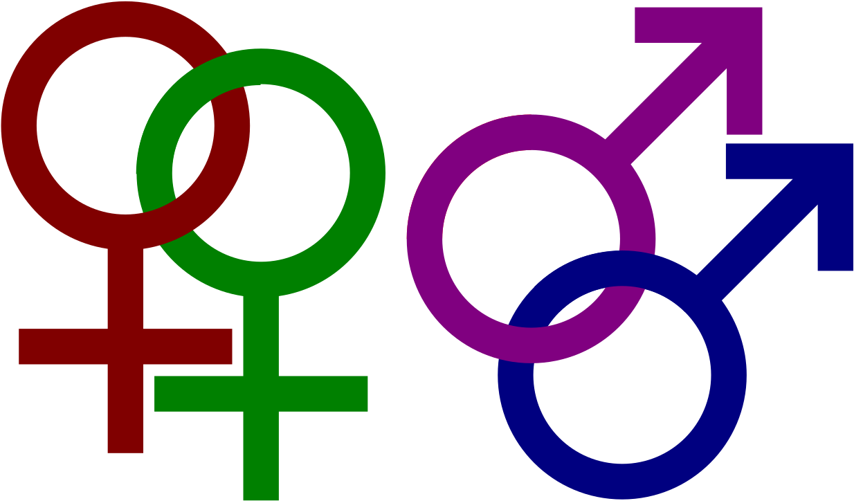 Gender Symbols Representation PNG Image