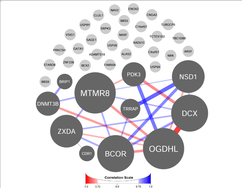 Gene Interaction Network Analysis PNG Image