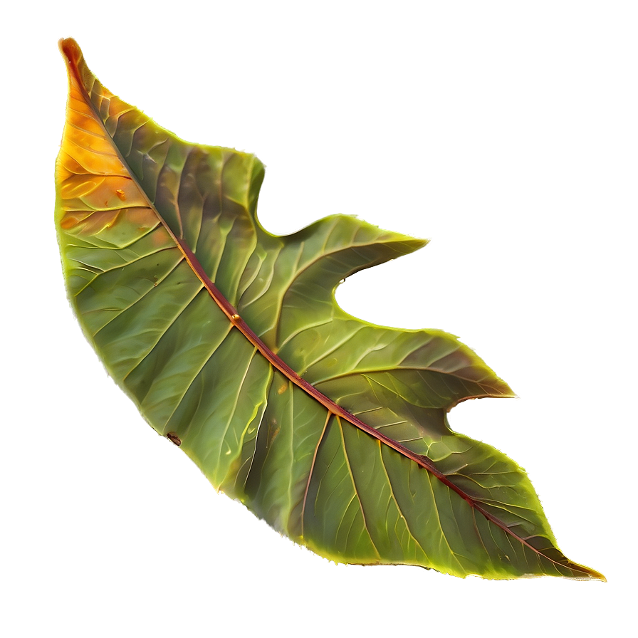 Gentle Fall Of Leaves Png Jrm PNG Image