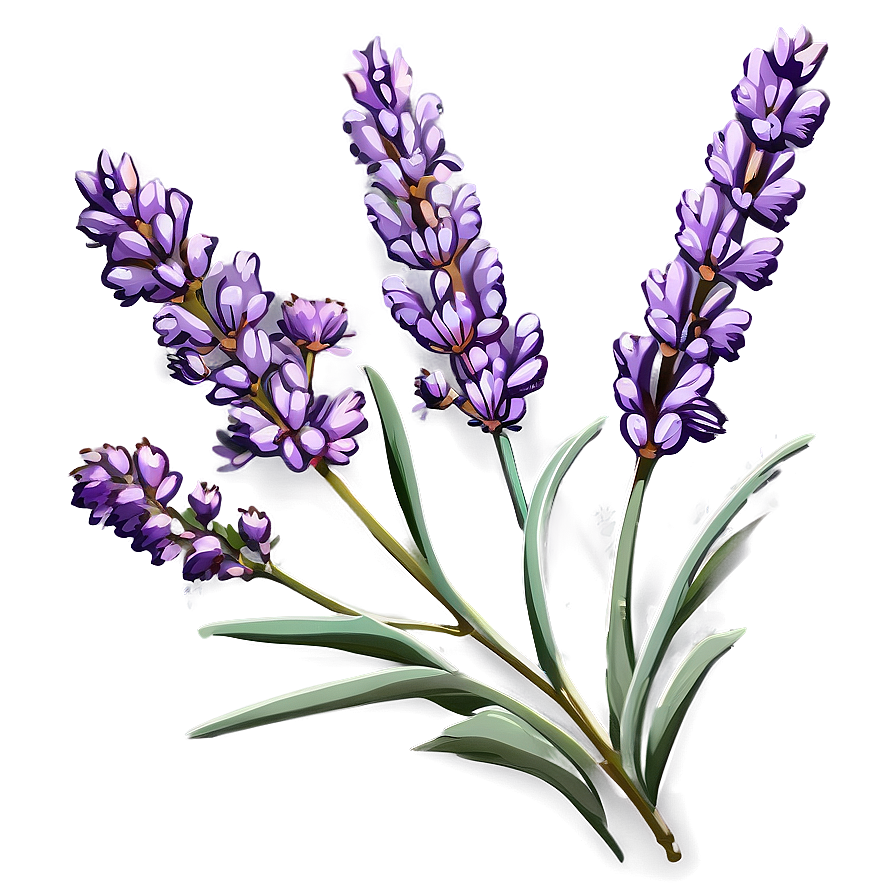 Gentle Lavender Sprig Png 10 PNG Image