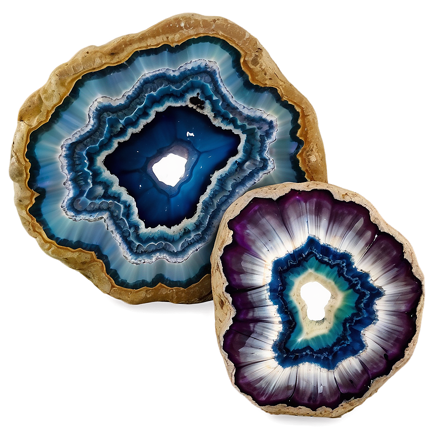 Geode Fossil Display Png Wql PNG Image