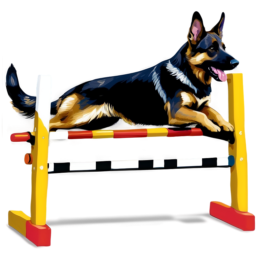 German Shepherd Agility Png 12 PNG Image