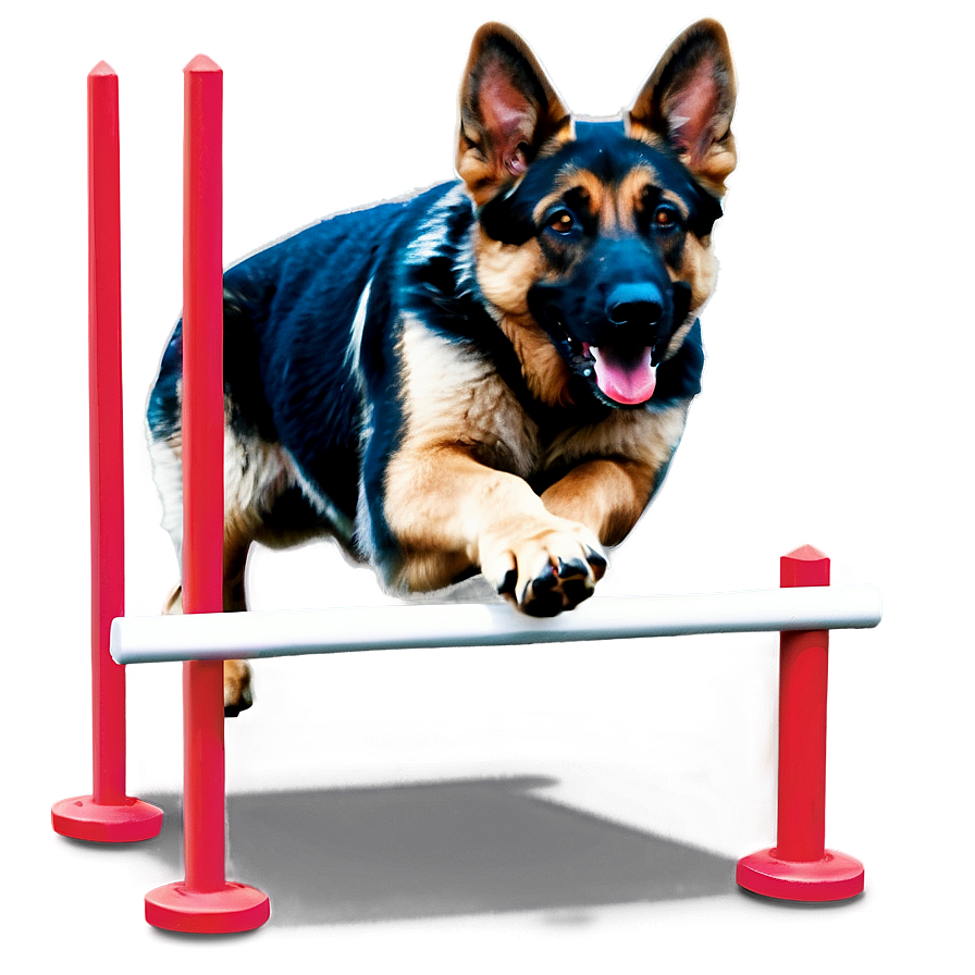 German Shepherd Agility Png Qjw98 PNG Image