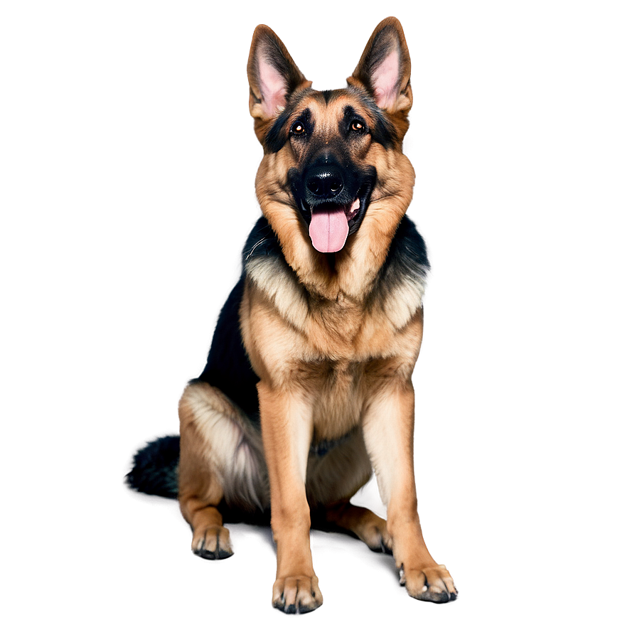 German Shepherd Trick Png Osw15 PNG Image