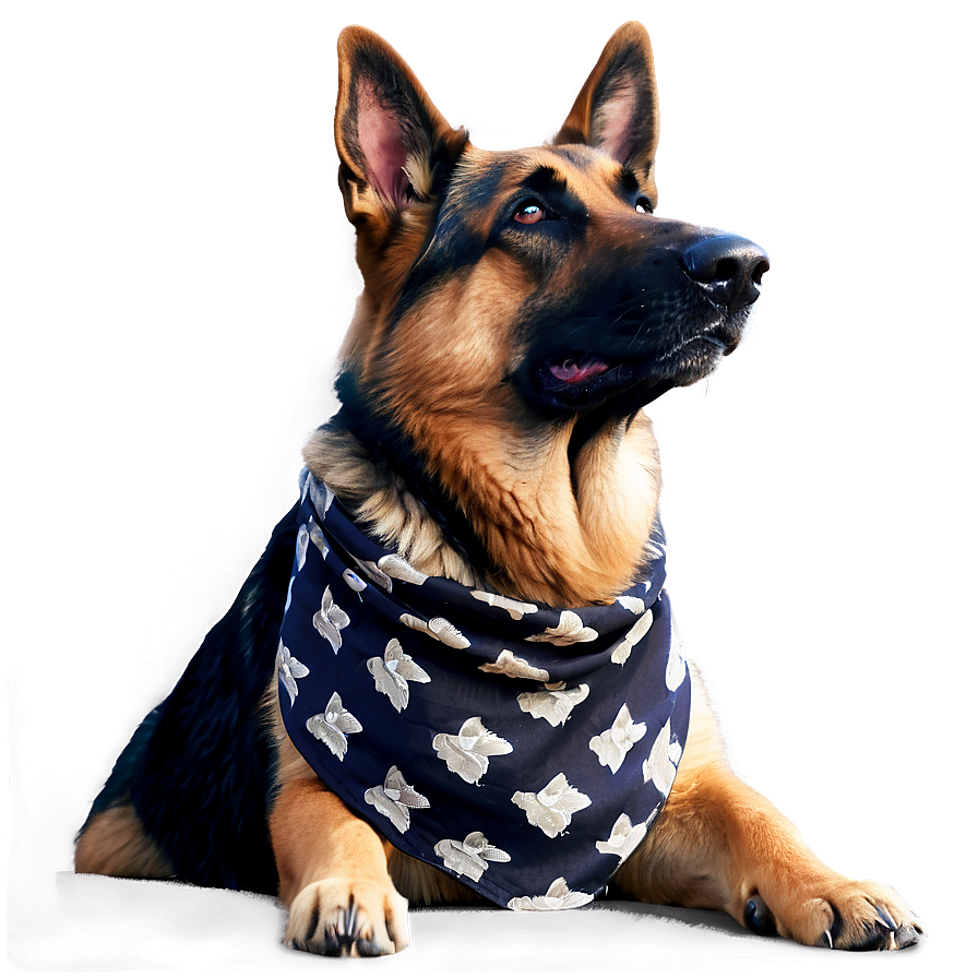 German Shepherd With Bandana Png Ixo PNG Image