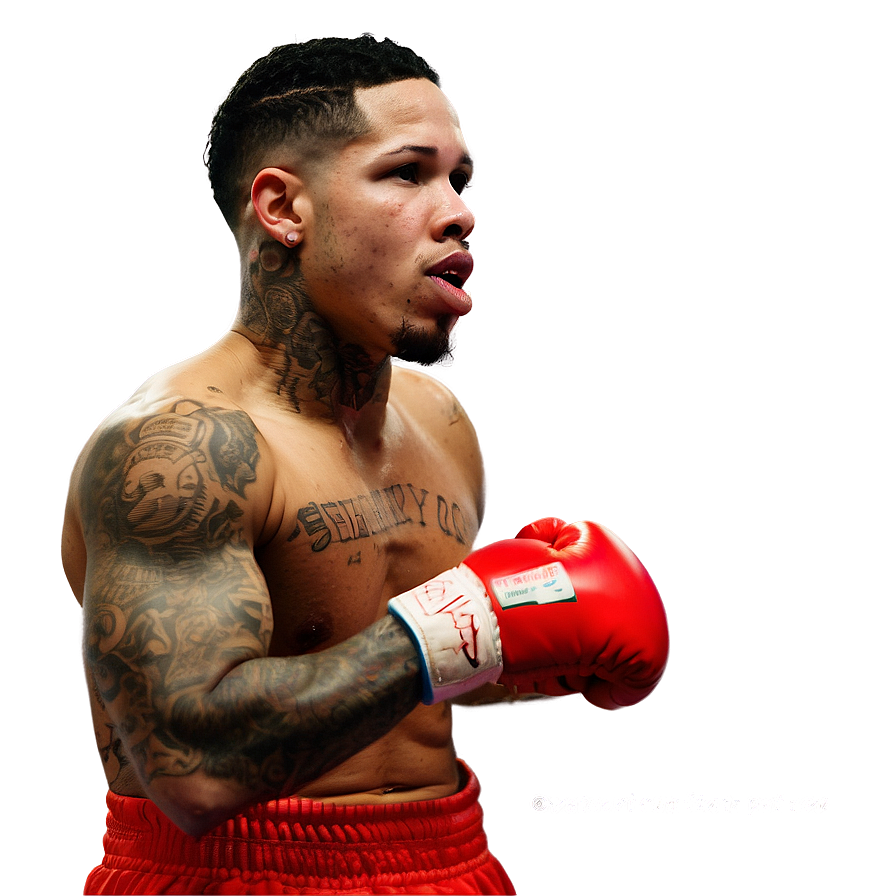 Gervonta Davis Inspirational Quote Png Cbi91 PNG Image