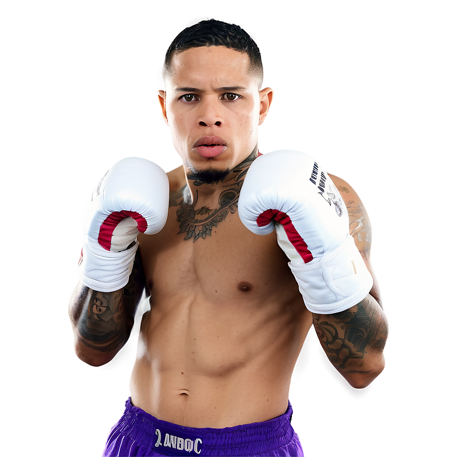 Gervonta Davis Powerful Jab Png 34 PNG Image