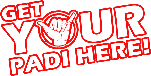 Get Your P A D I Diving Certification Sign PNG Image