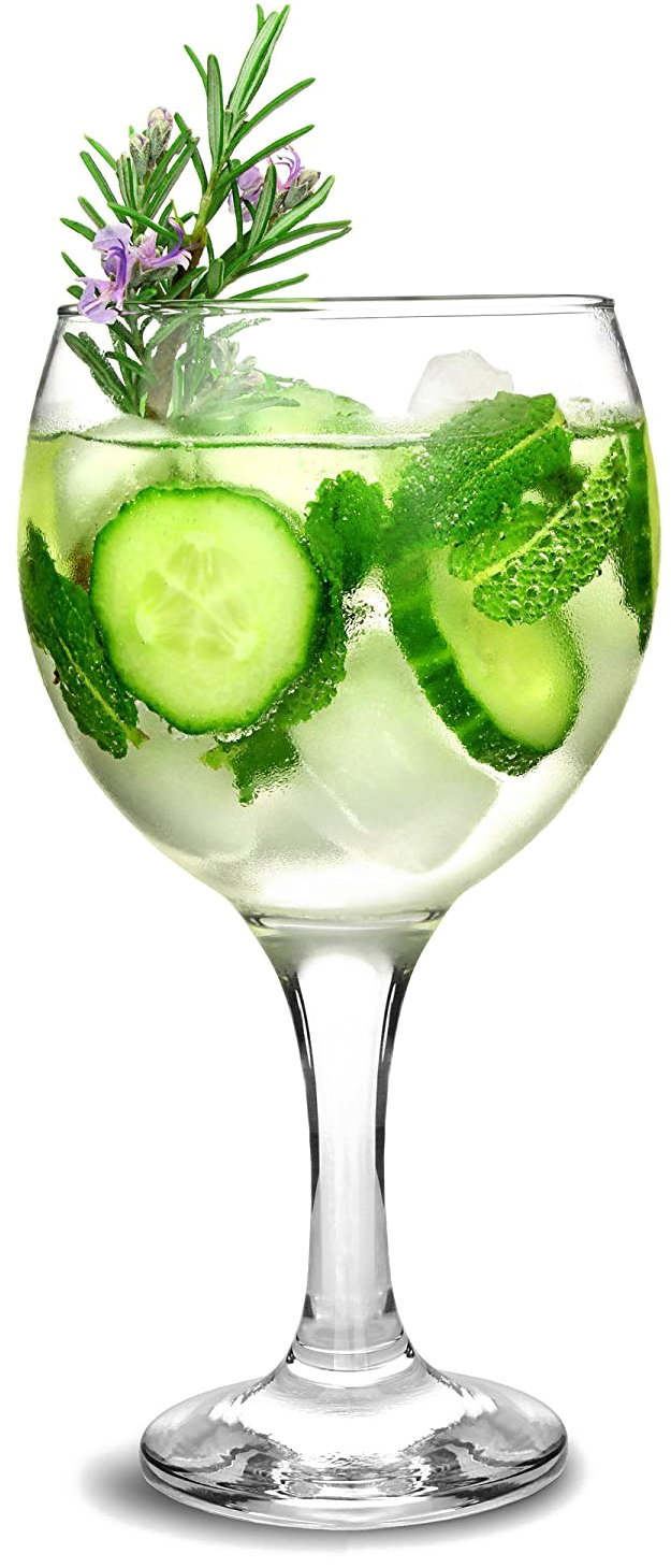 Gin Cocktailwith Botanical Garnishes PNG Image