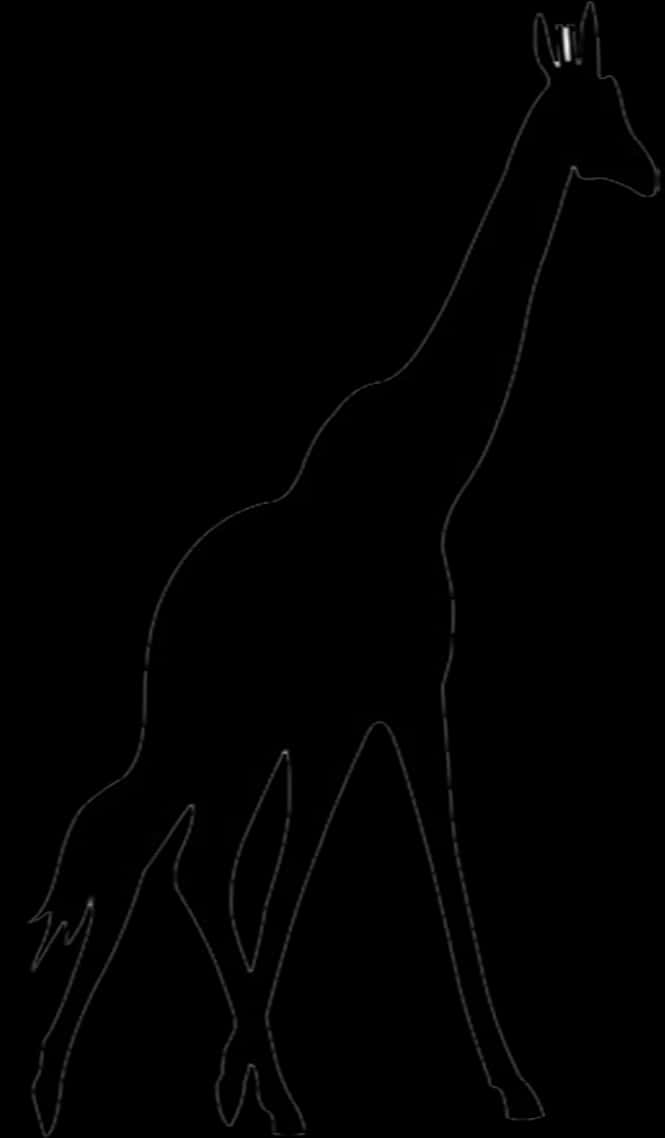 Giraffe Silhouette Outline PNG Image