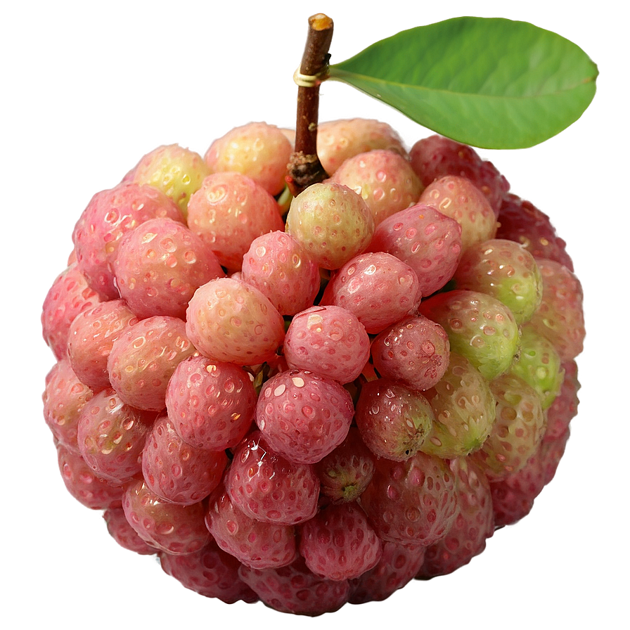 Glistening Fresh Lychee Png Fvo PNG Image