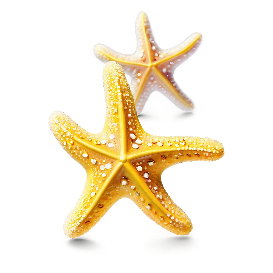 Glittering Yellow Starfish Png Rmq PNG Image