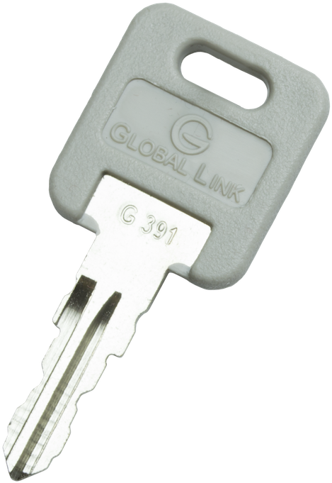 Global Link Key G391 PNG Image