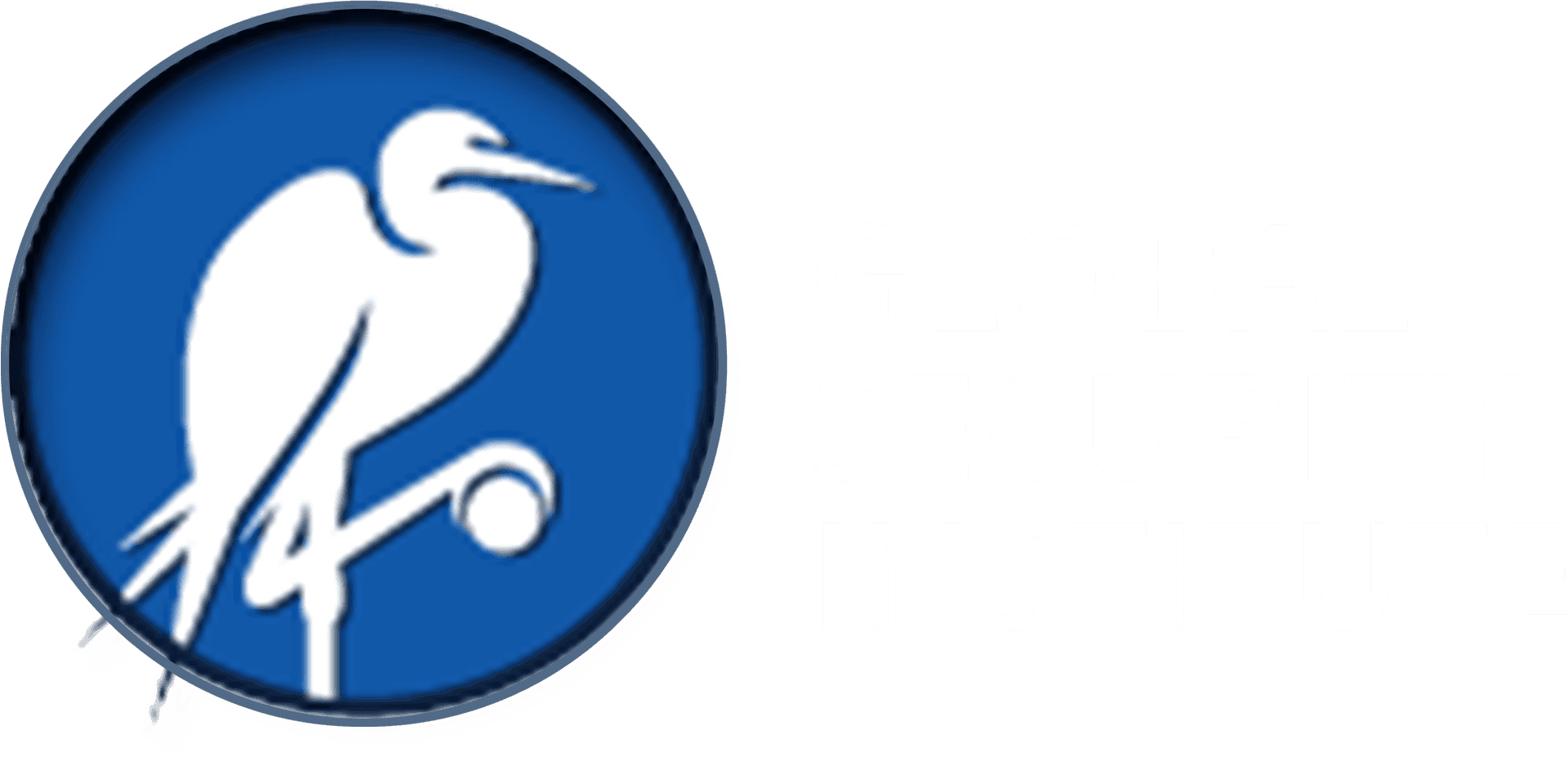 Global Security Institute Logo PNG Image