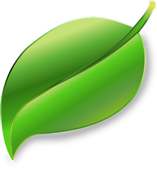 Glossy Green Leaf Graphic PNG Image