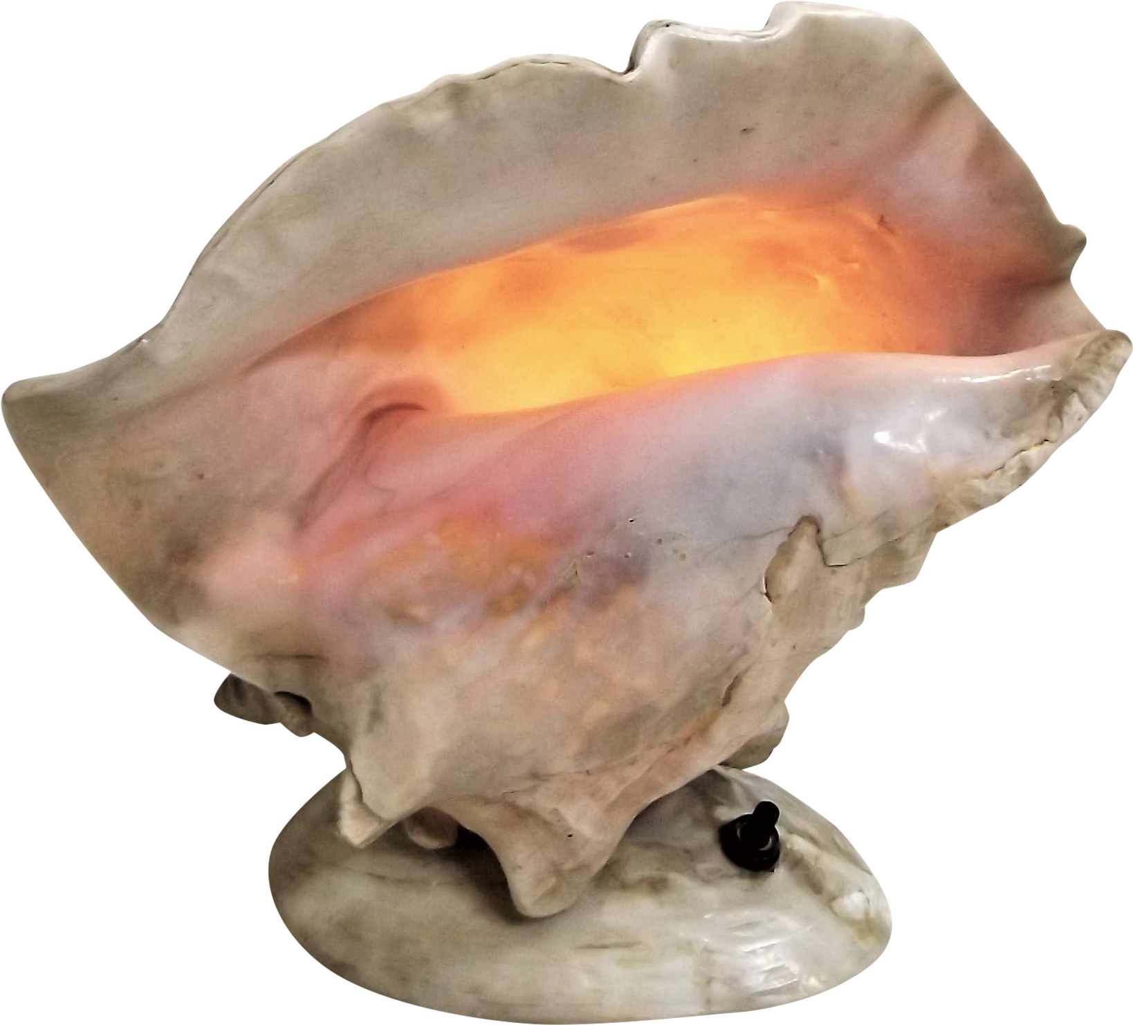 Glowing Conch Shell PNG Image