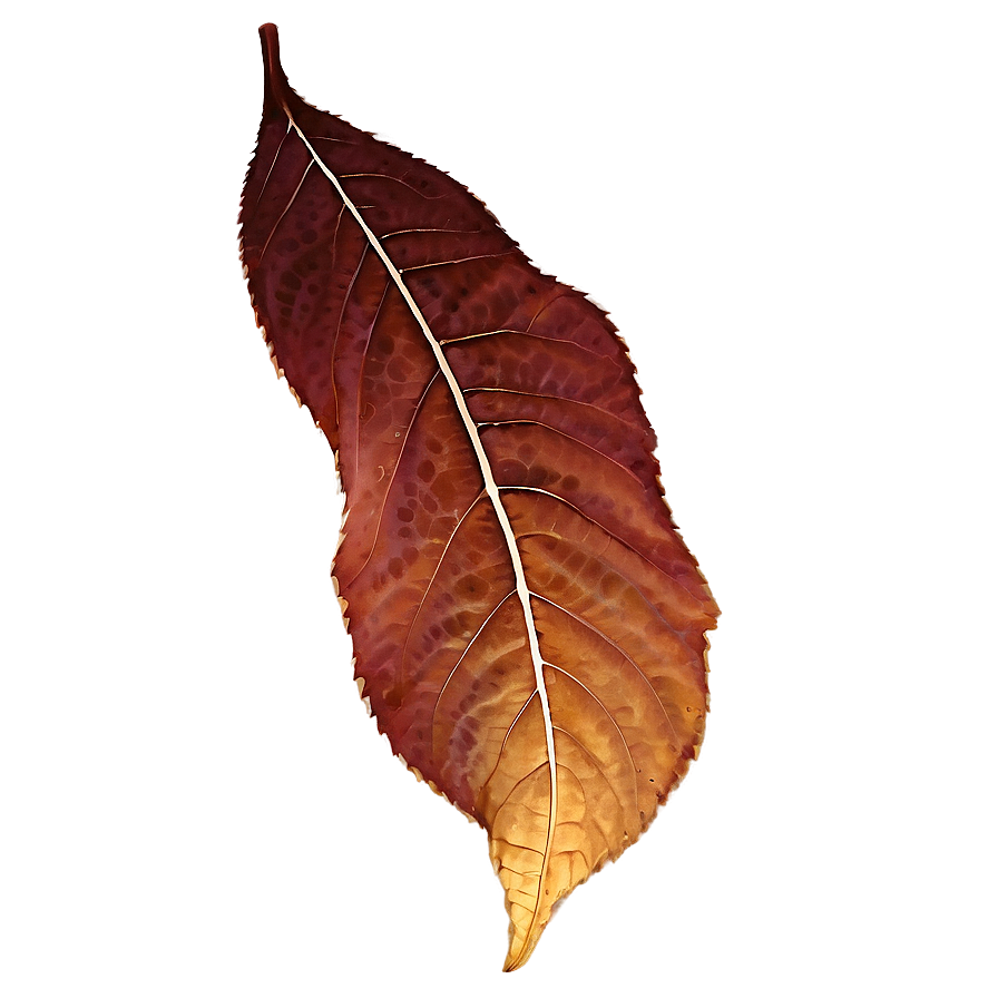 Glowing Fall Leaf Png Fun PNG Image