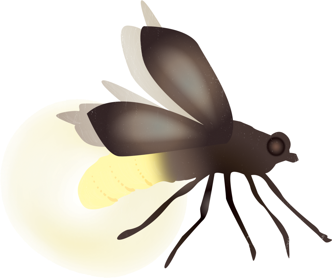 Glowing Firefly Illustration PNG Image