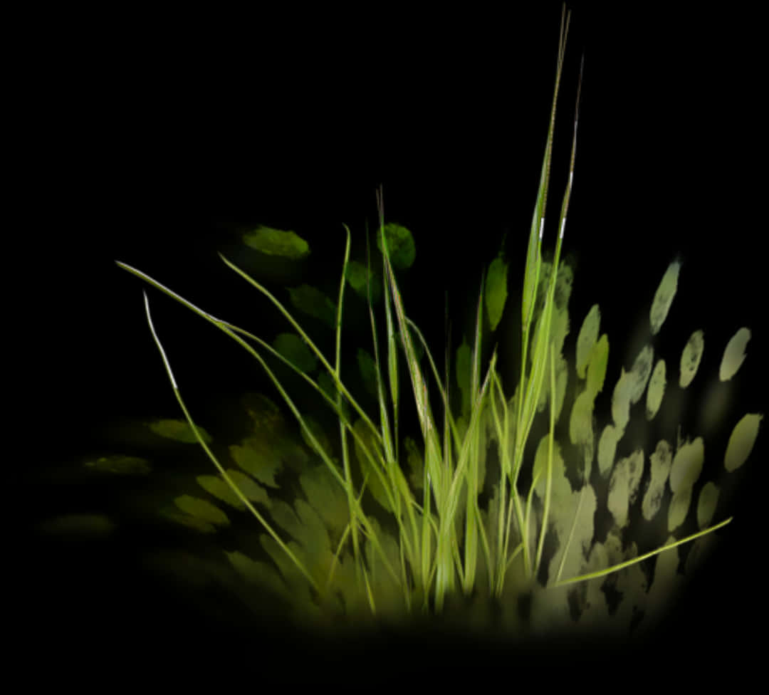 Glowing Grass Abstract PNG Image