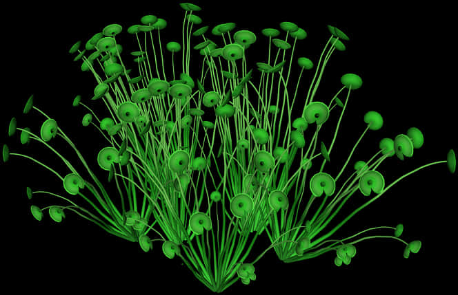 Glowing Green Mushrooms Cluster PNG Image